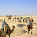 Tourists riding camels in Sahara desert 