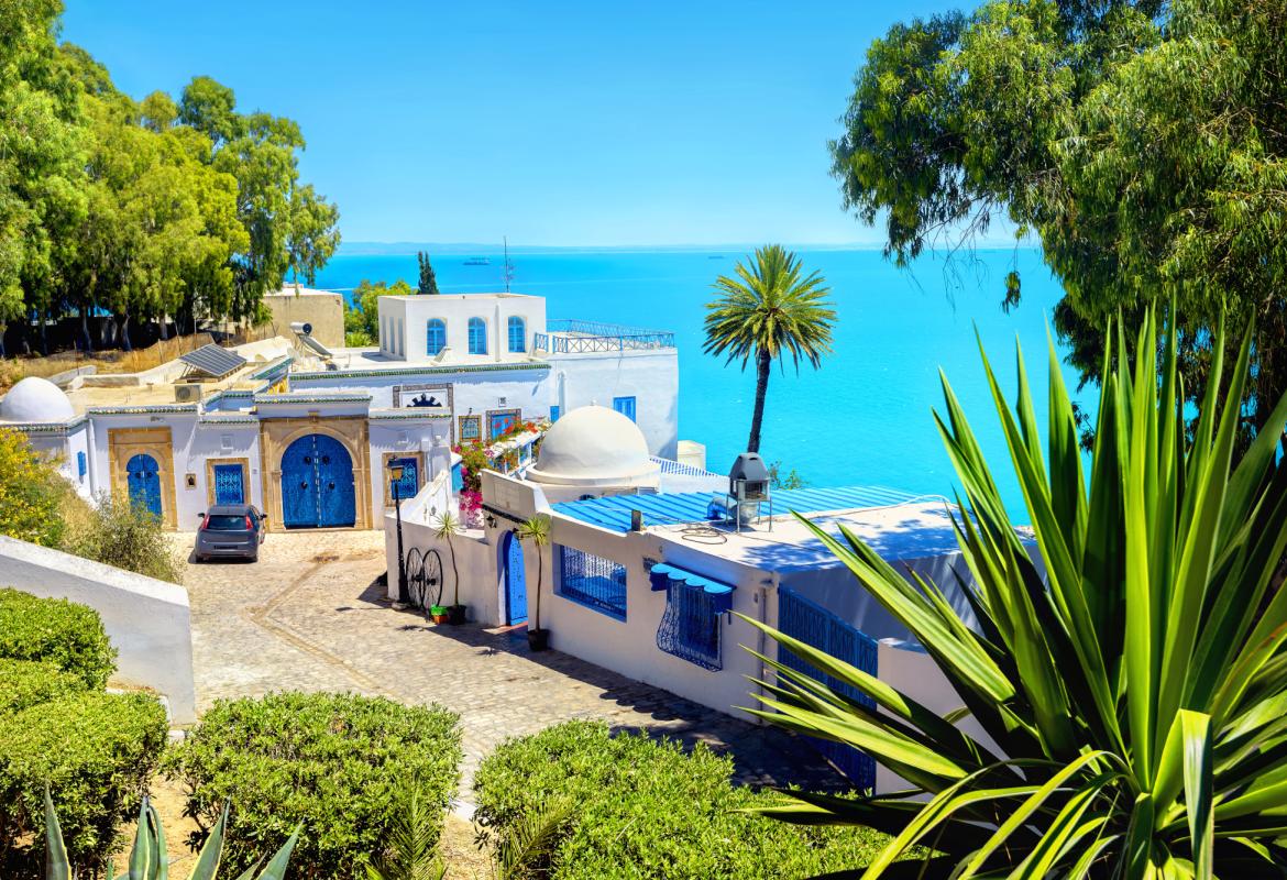 Вид на Сиди-Бу-Саид