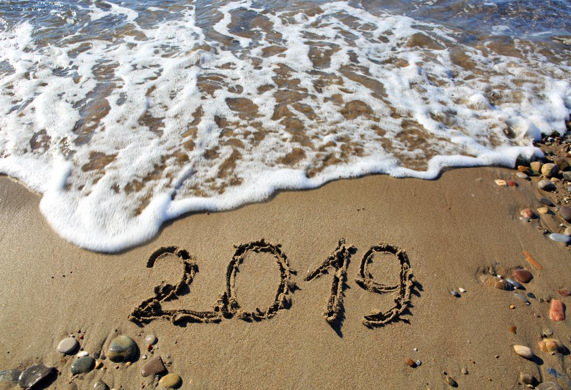 С Новым 2019 годом!