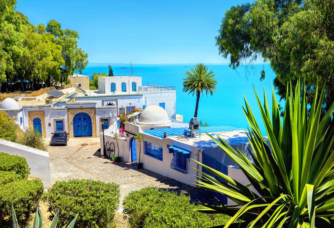 Сиди Бу Саид