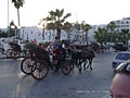 Фото г.Сусс